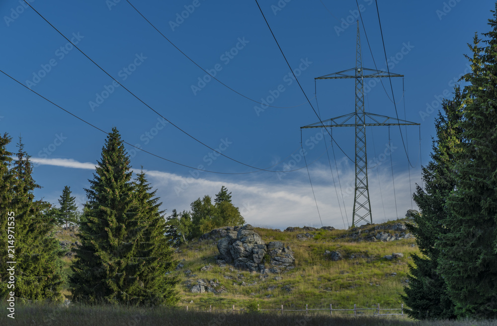 Post pole in Slavkovsky les national park