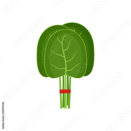 Group of spinach leaves icon. Flat illustration of group of spinach leaves vector icon for web isolated on white