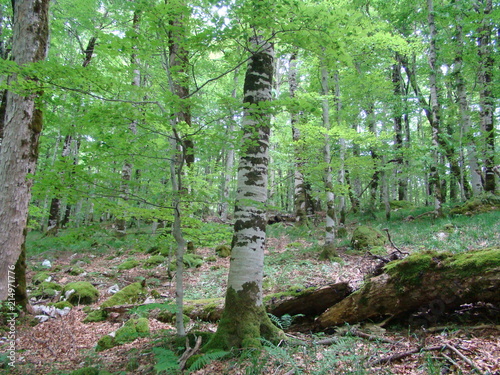 Biograd lake national park