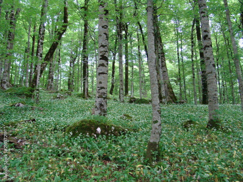 Biograd lake national park