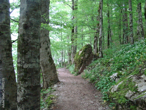Biograd lake national park