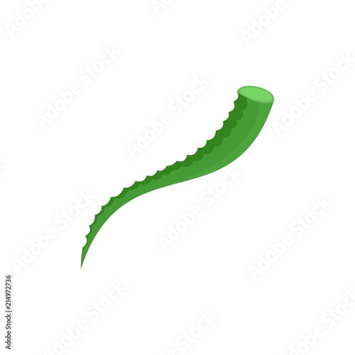 Piece of aloe icon. Flat illustration of piece of aloe vector icon for web isolated on white