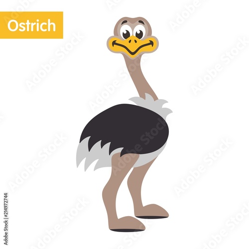 Cartoon ostrich in flat style isolated on white background. Vector illustration. 