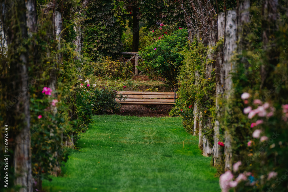 Colorful green grass pathway to a park bench in a flower garden Colorful green grass pathway to a park bench in a flower garden