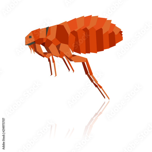 Flat geometric flea