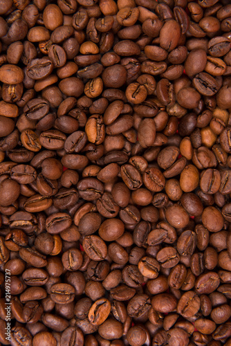  Coffee seeds with colorful backgrounds