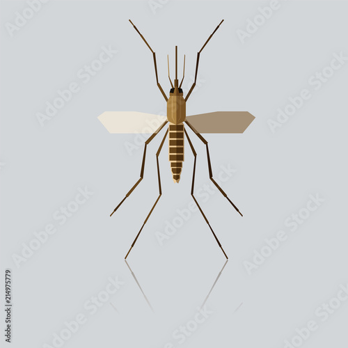 Flat geometric Mosquito