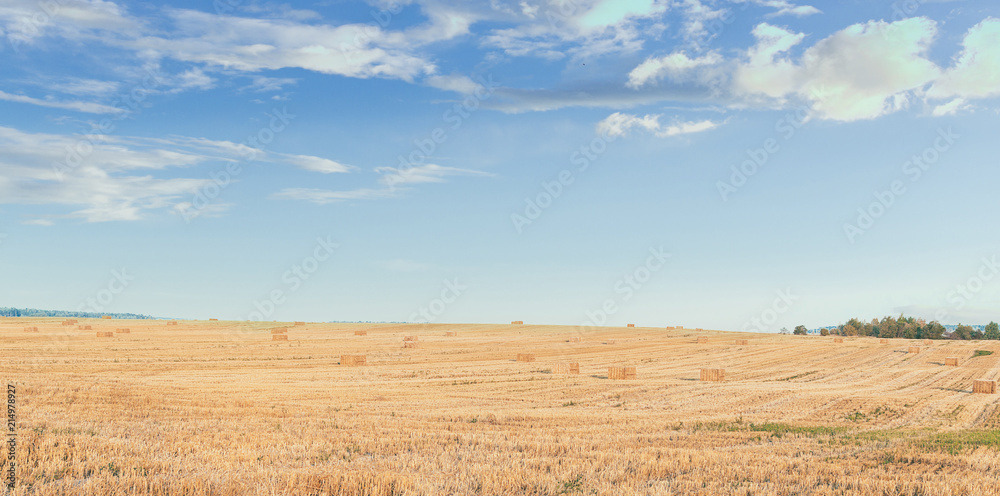 Hay In Village Hay In Village