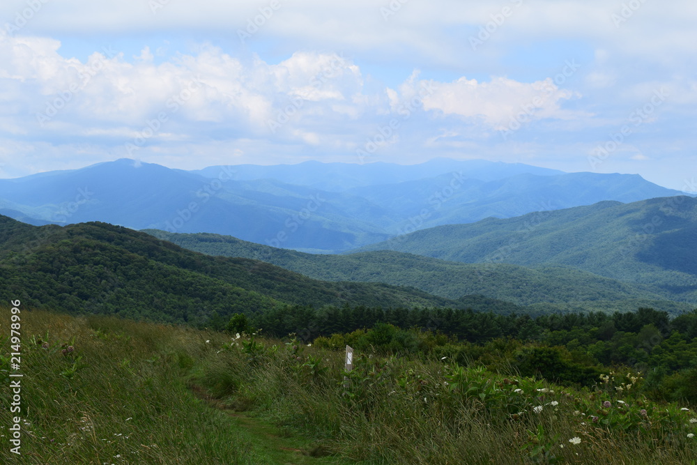 Summer Day on the Mountain