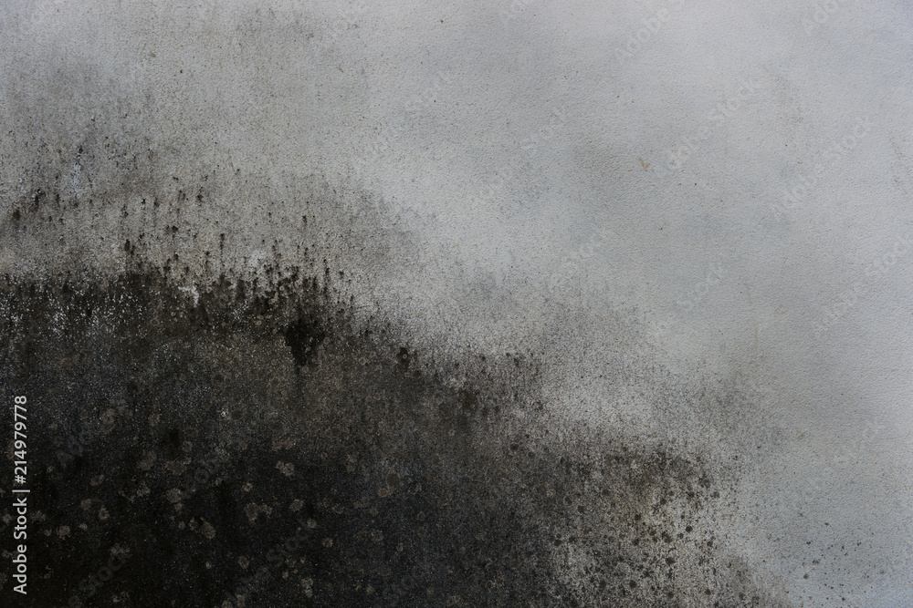 Brown stucco wall background. brown painted cement wall texture