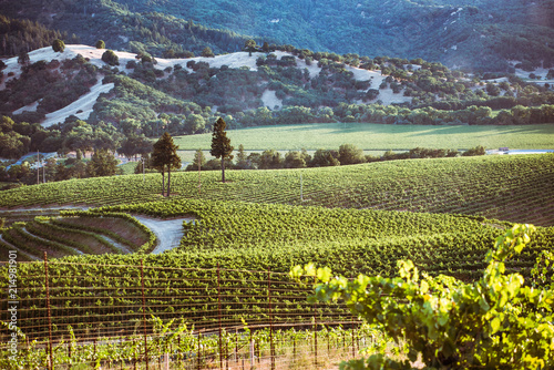 Rolling vineyards in a Northern California valley