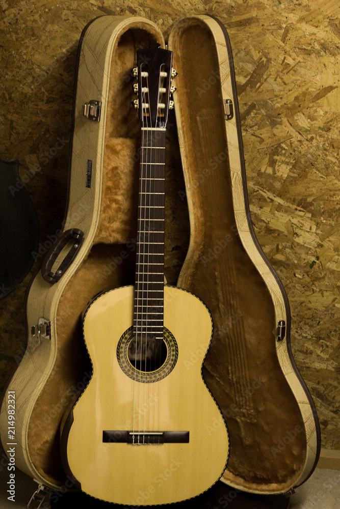 Fototapeta premium Acoustic Guitar
