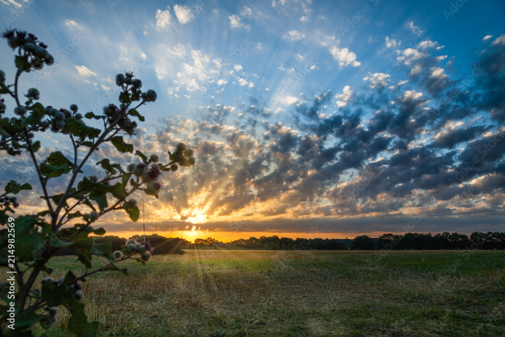 Wunderschöner Sonnenaufgang mit Wolkenhimmel über einem Feld in Brandenburg