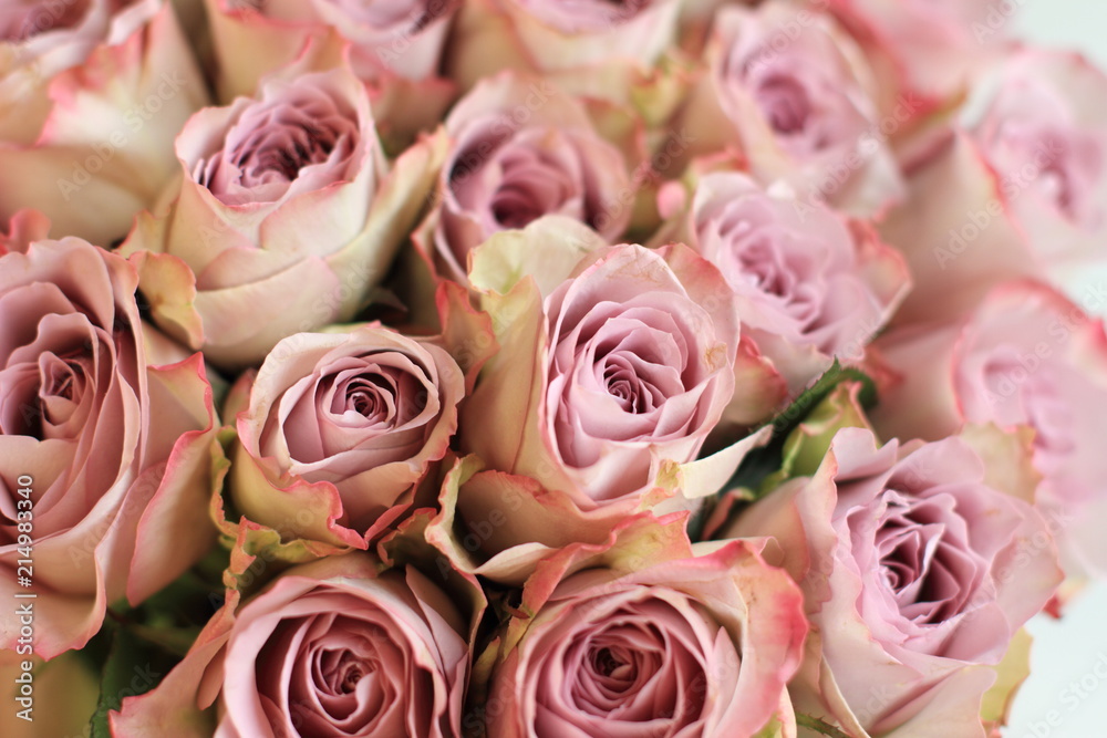 bouquet of lilac roses bouquet of lilac roses