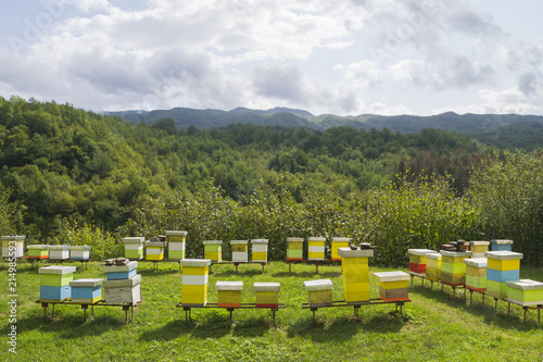 Сolourful wooden bee hives in forest meadow clearing in mountains.