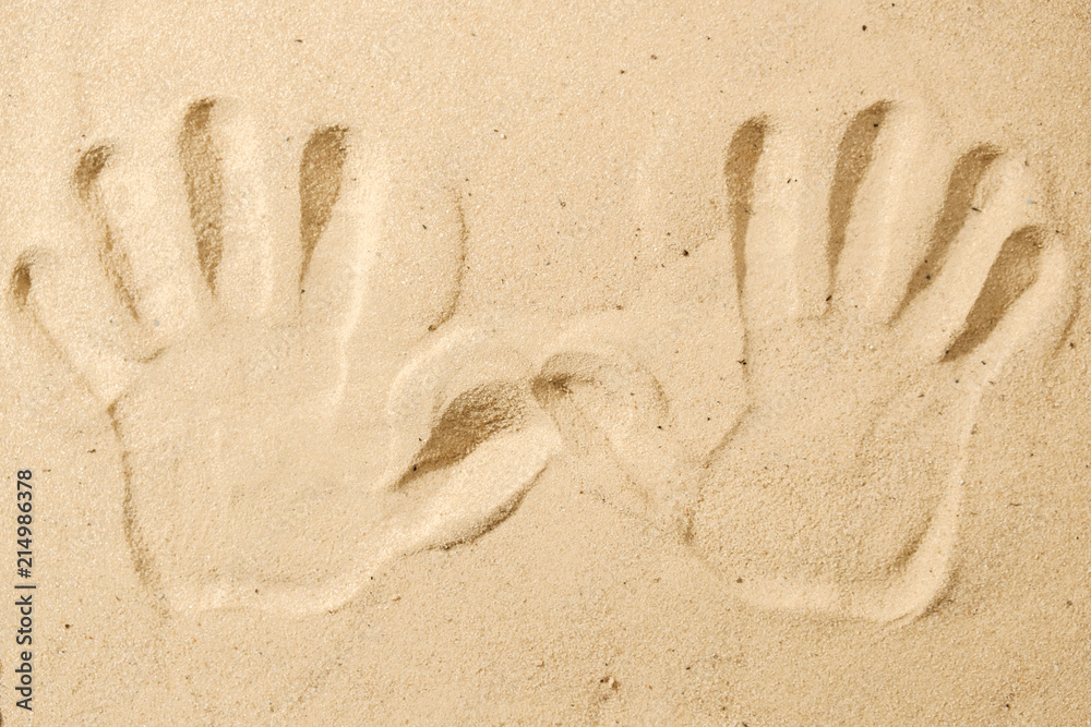 palm traces on sand See this Beach concept palm traces on sand See this Beach concept