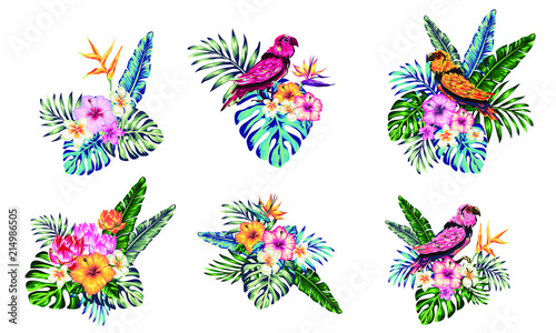 tropical collection with exotic flowers and leaves vector design isolated elements on the white, tropical flowers and parrot, summer background with tropical flowers
