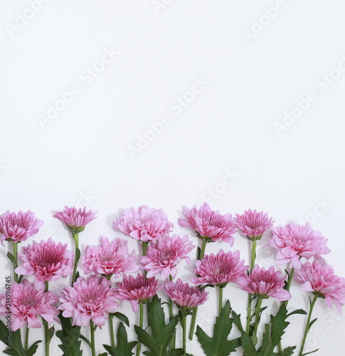 Flower Pattern Top View On Color Paper For Background