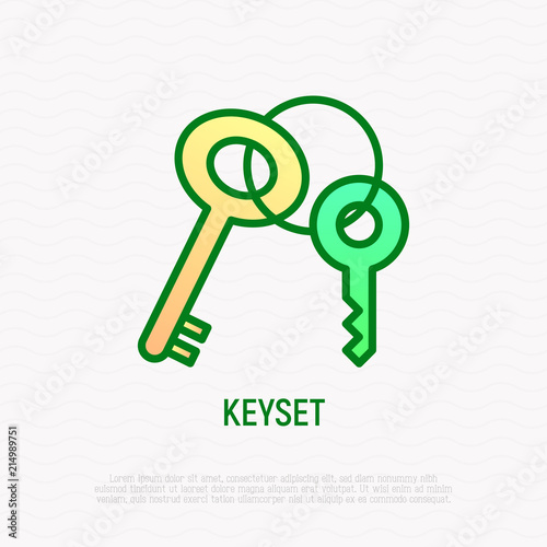 Keyset thin line icon, symbol of security and protection. Modern vector illustration.