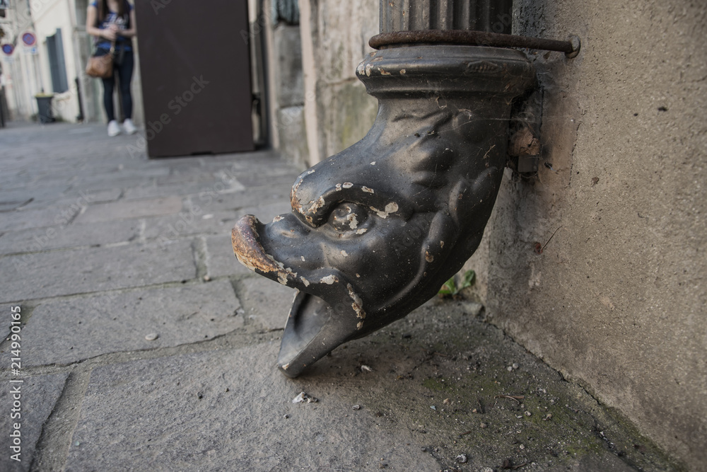 Animal face, Carcassonne