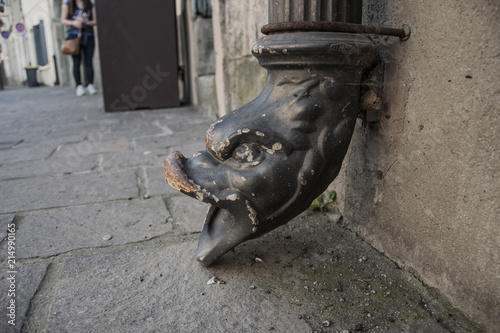 Obraz na płótnie Animal face, Carcassonne w salonie