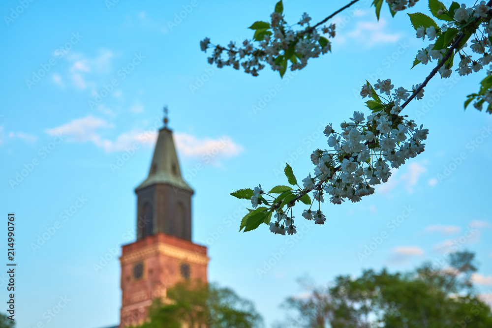 Branch with flowers with old medieval cathedral on a blue cloudy sky on a blurred background. Branch with flowers with old medieval cathedral on a blue cloudy sky on a blurred background.