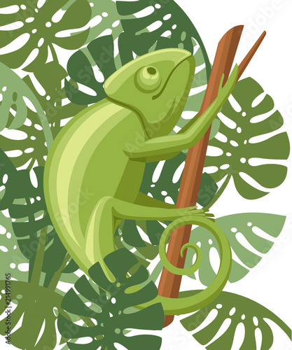 Cartoon chameleon climb on branch. Small green lizard. Chameleon logo design, flat icon. Vector illustration on white background with green leaves