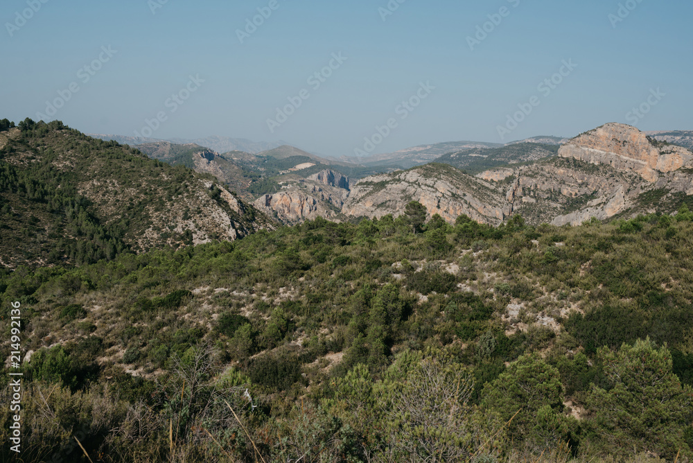 A lot of  rocky hills in the valley covered with green forest in the evening in Spain