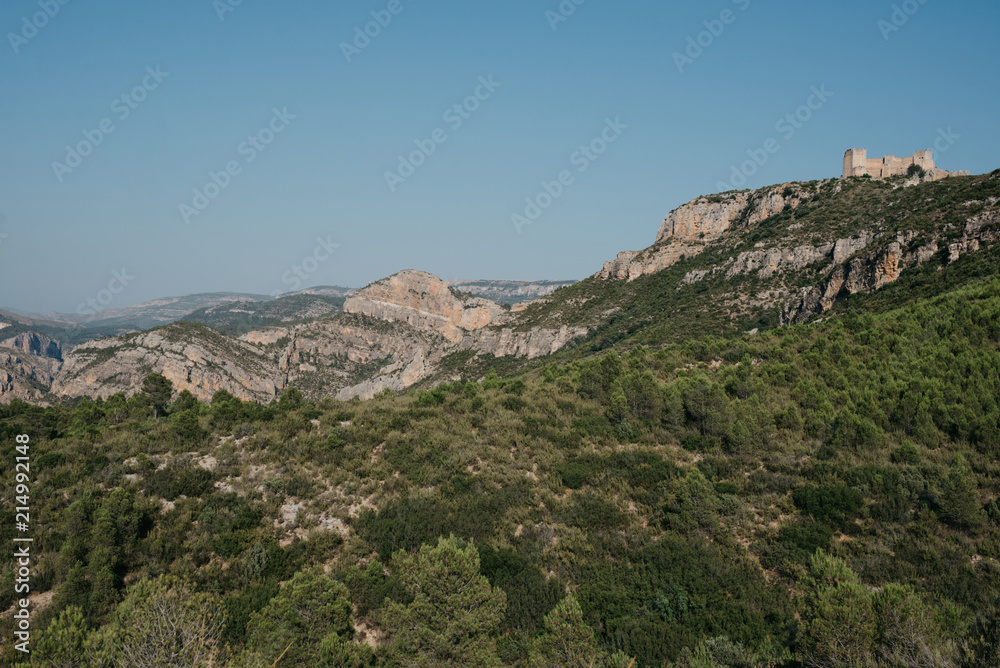 Beautiful canyon in the valley covered with green forest in the evening in Spain