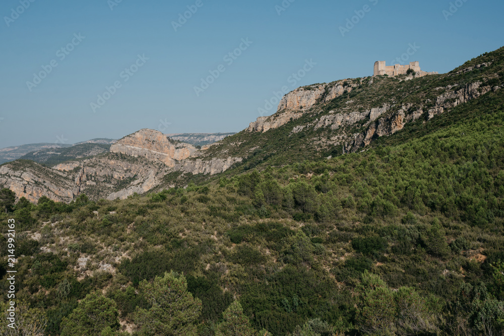 Beautiful green canyon in the valley covered with green forest in the evening in Spain