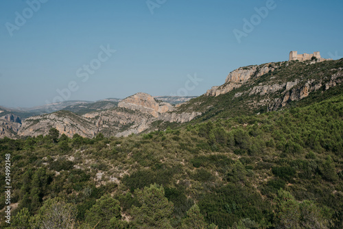 Beautiful canyon in the valley covered with green forest in the evening in Spain