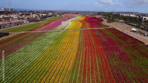 Carlsbad, CA - The Flower Fields - Drone Video, Aerial Video of The Flower Fields in Carlsbad, California. It opens up once a year in spring from March 1 through May 10.