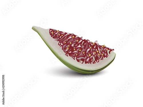 Common fig fruit realistic vector design. 3d fig cut. Sliced piece. Good for packaging