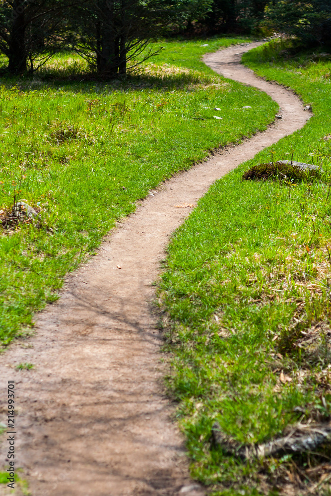 Winding Dirt Path Through Green Grass, Appalachian Trail Winding Dirt Path Through Green Grass, Appalachian Trail