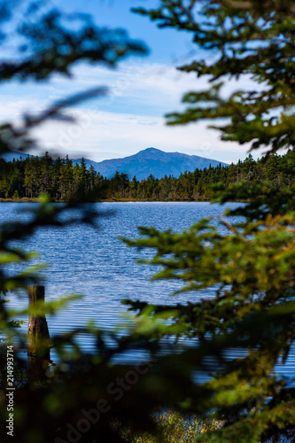 Mountain on Horizon Across Lake Through Trees