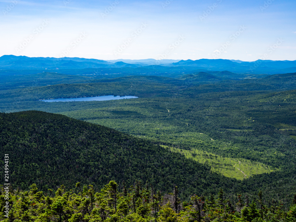 Mountain Summit Vista, Dense Forest, Mahoosuc Range, Maine