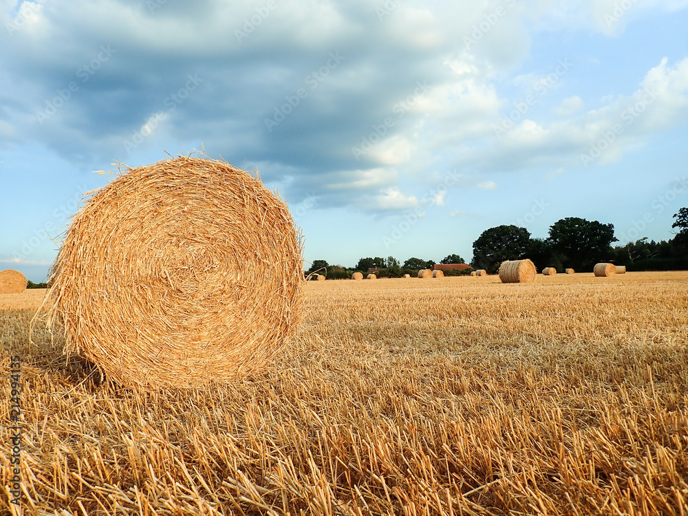 Hay bales on farmland, Sarratt, Hertfordshire Hay bales on farmland, Sarratt, Hertfordshire