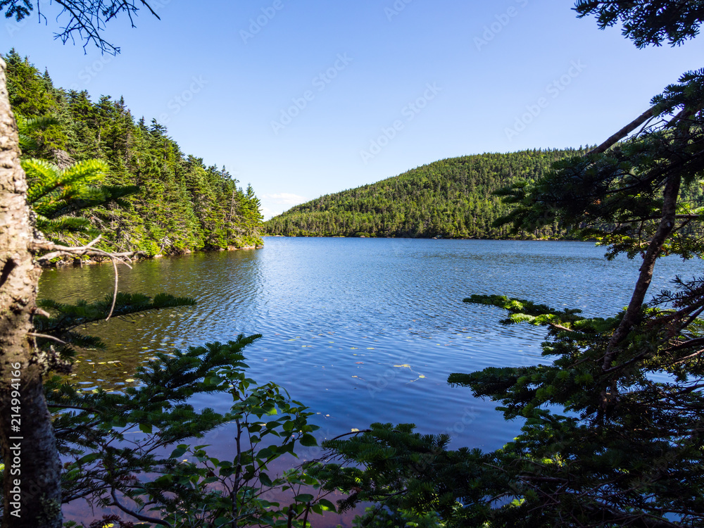 Mountain Lake, Pond in Lush Forest Reflecting Blue Sky