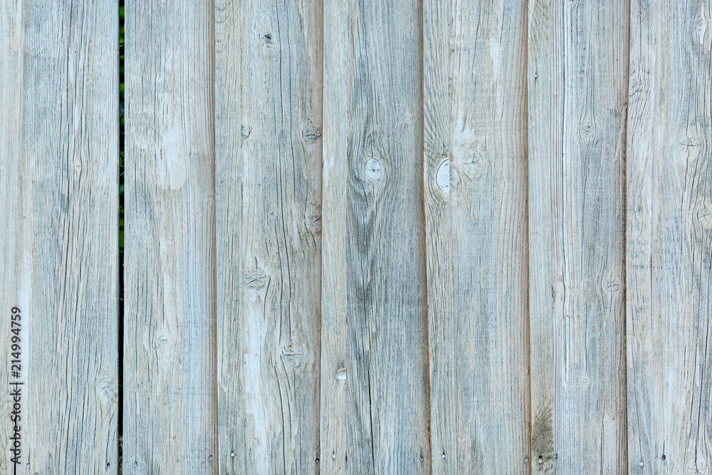 Fototapeta premium Fence surface for background