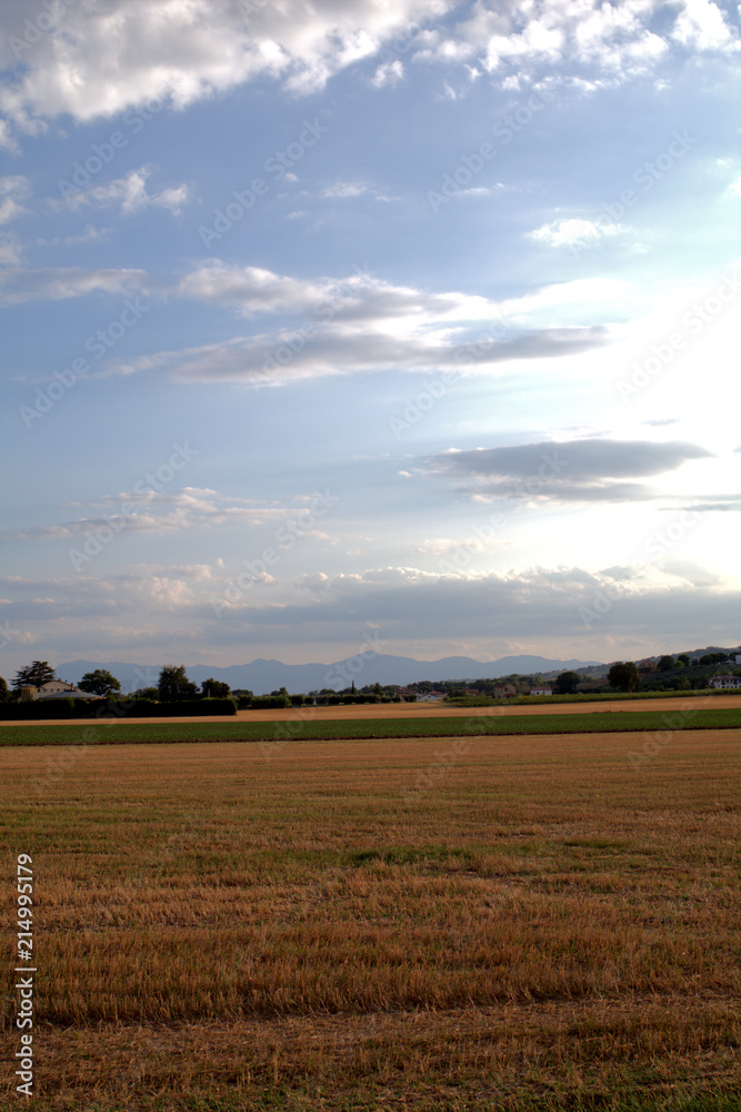 agriculture,field,landscape,panorama,crops,view,sky,clouds,countryside,horizon,