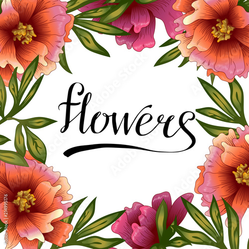 Peony frame flowers in a vector style. Frame border ornament square. Vector flower for background, texture, wrapper pattern, frame or border.