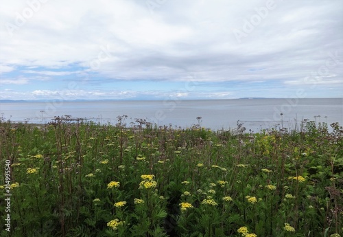 Blue sky on the horizon with the Birch Bay shoreline under clouds on a summer day photo