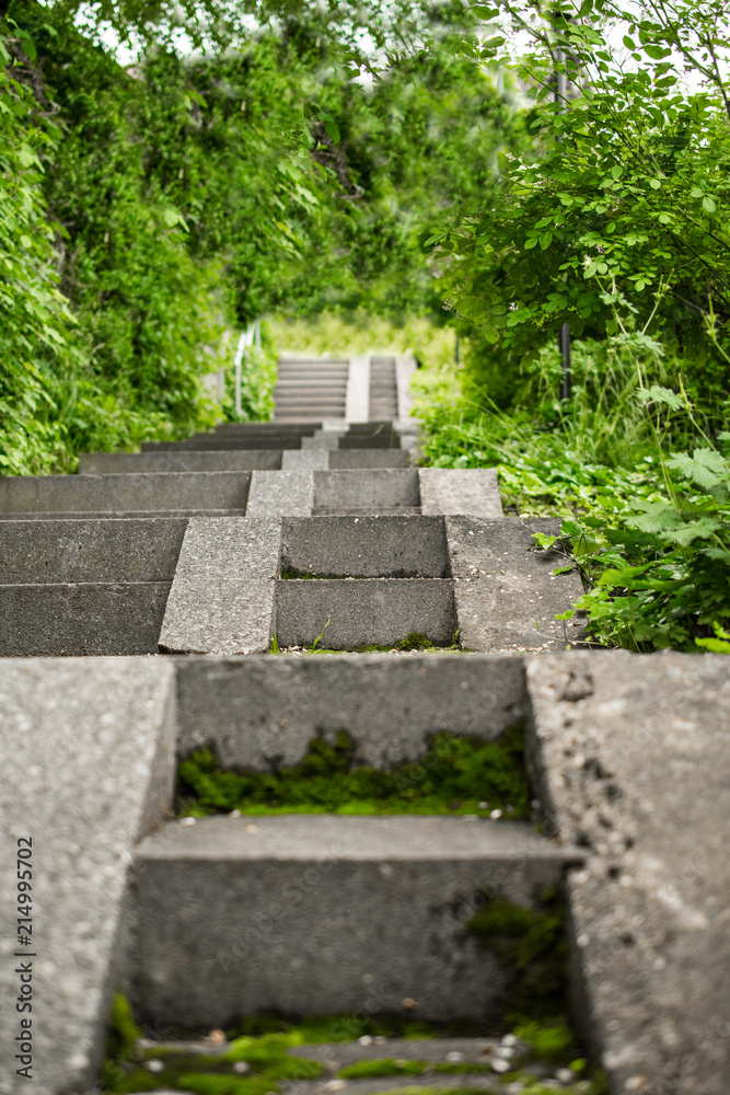 Concrete stairway with green bushes in the city with nature contrast