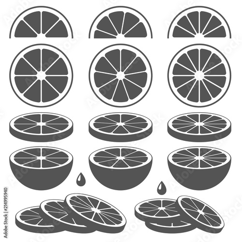 Set of lemon, lime, orange or grapefruit slices