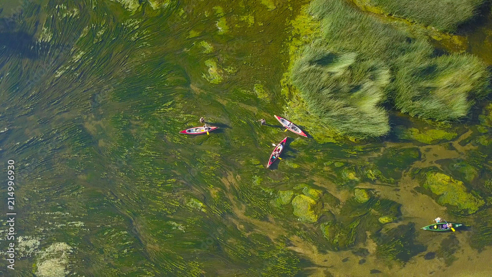 Obraz premium AERIAL: Flying above a group of tourists stuck in green swamp with their canoes.