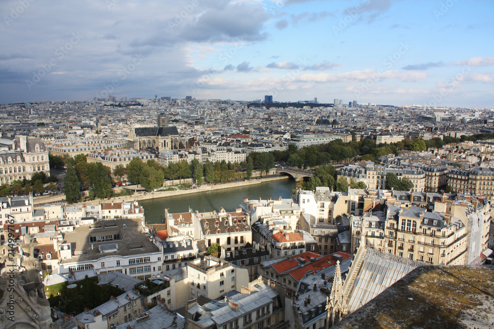 View of Paris from a height. France.	