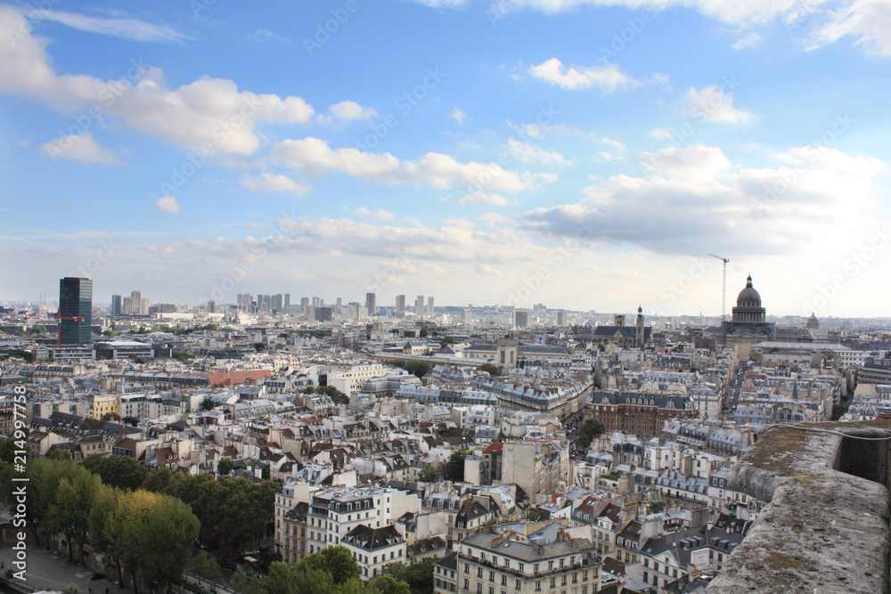 View of Paris from a height. France.	