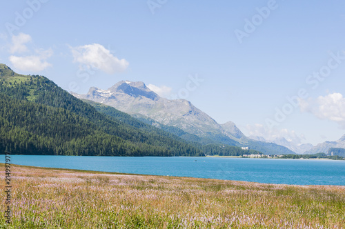 Silvaplana, Sils, Segl, Silvaplanersee, Malojawind, Seenplatte, Wassersport, Seeufer, Wanderweg, Oberengadin, Engadin, Alpen, Graubünden, Piz Murtèl, Sommer, Schweiz