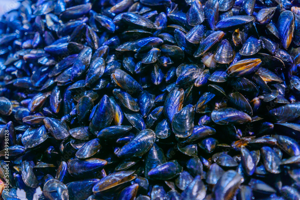 Mussels on sale in a French market Mussels on sale in a French market