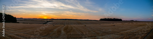 Sunset Field Panorama